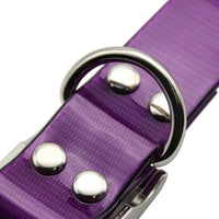 HKM-5168829 Durable TPU Dog Collar with Multiple Color Options for All Pet Occasions