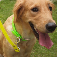 HKM-5168829 Durable TPU Dog Collar with Multiple Color Options for All Pet Occasions