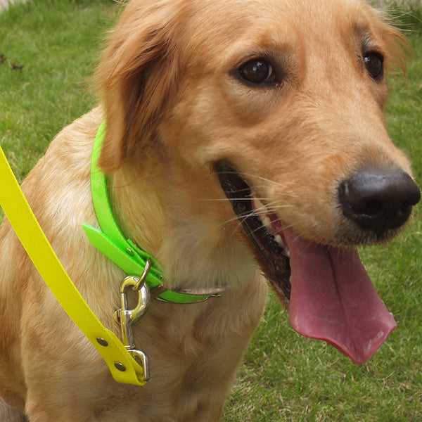 HKM-5168829 Durable TPU Dog Collar with Multiple Color Options for All Pet Occasions