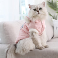 HKM-5169213 Soft Velvet Princess Cat Flannel Outfit in Blue for Pets