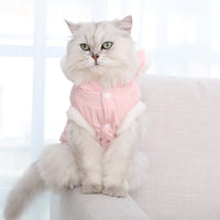 HKM-5169213 Soft Velvet Princess Cat Flannel Outfit in Blue for Pets