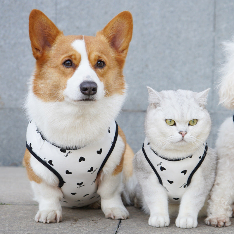 HKM-5182909 Anti-Lint Cartoon PET Vest in Black Heart, Carrot, and Strawberry - Sizes S to 11XL