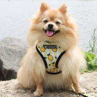 HKM-5187389 Lemon Pattern Printed Breathable Mesh Pull Rope Leash for Pets, 1.35m Length