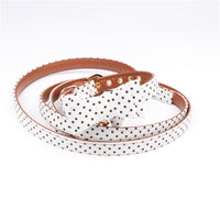 HKM-5187901 Polka Dot Triangle Scarf Collar and Leash Set for Dogs in Black, White, Red, Yellow