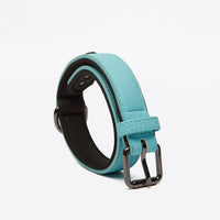 HKM-5190077 Eco-Friendly PU Dog Collar with Lychee Pattern for Large Dogs - Waterproof Inner Layer, Alloy Buckle