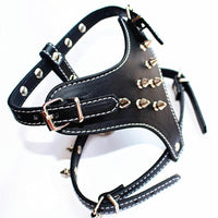 HKM-520659 Leather Spiked Studded Dog Harness Vest for Small Breeds - Black, Adjustable Neck & Chest Size