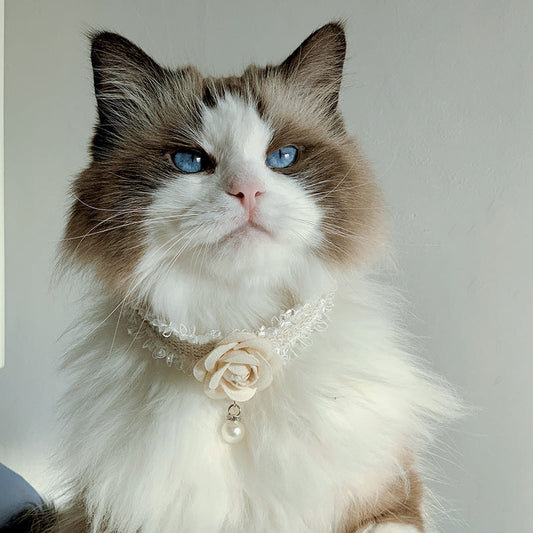 HKM-5213117 Stylish Magnolia Flower Fragrance Collar Accessory for Cats and Dogs