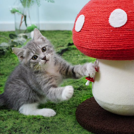 HKM-5214397 Self-Healing Cat Climbing Frame with Cotton Rope – Red Mushroom Design, 340*280cm
