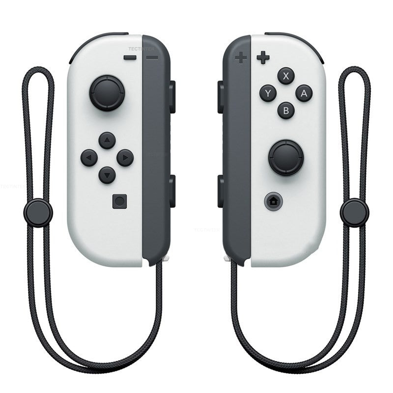 HKM-521619 NS Dual Gamepad with Hand Rope for Switch Console - TYPE-C Interface, Vibration Mode, 2 Players