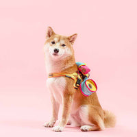 HKM-5217341 Three-in-One Canvas Travel Bag for Pets - Universal for Cats and Dogs, Available in Rose Red, Orange Yellow, Grass Green