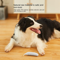 HKM-5218365 Interactive Dog Teething Cucumber – Durable Bite-Resistant Training Toy