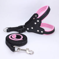 HKM-5220157 Triangle Chest Strap for Dogs and Cats - Adjustable Nylon Harness with Leash Options