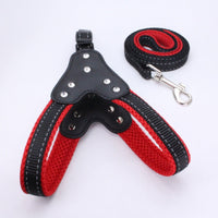 HKM-5220157 Triangle Chest Strap for Dogs and Cats - Adjustable Nylon Harness with Leash Options