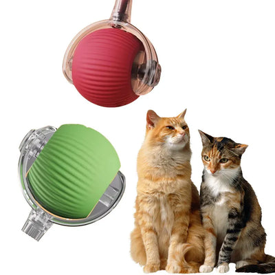HKM-522451 Vibrant Silicone Cat Toy with Feather Teaser, Long Tail and Rolling Claw Ball for Kittens