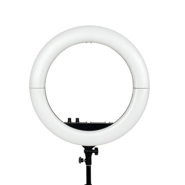 HKM-522643 18-Inch Folding Fill Light with Remote Control and Three Color Temperature Adjustments