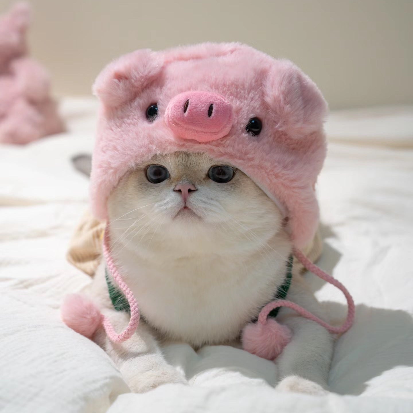 HKM-5231165 Cute Casual Winter Pet Hooded Hats - Various Styles for Small Pets