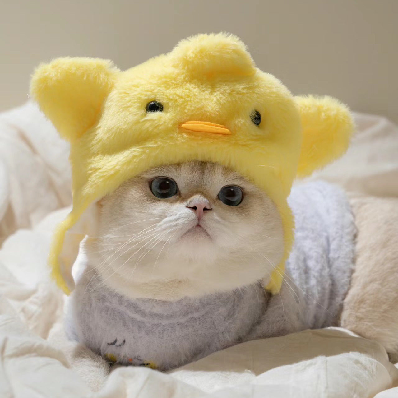 HKM-5231165 Cute Casual Winter Pet Hooded Hats - Various Styles for Small Pets