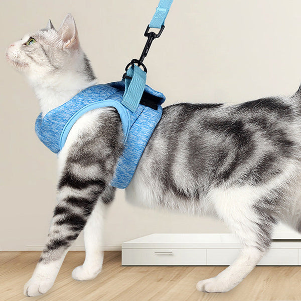 HKM-5231677 Breathable Cat Traction Rope and Chest Strap Set - Available in Multiple Colors and Sizes