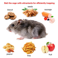 HKM-5236029 Humane Live Rodent Trap Cage - 2 Pack Galvanized Iron Design for Mice Control with Detachable U Shaped Rod