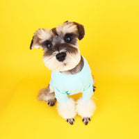 HKM-5238717 Cotton Summer T-Shirt for Small and Medium Dogs and Cats - Various Colors Available