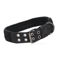 HKM-5240125 Durable 1.5-Inch Thick Double-Layer Nylon Webbing Dog Collar with Plastic Buckle for Medium and Large Dogs