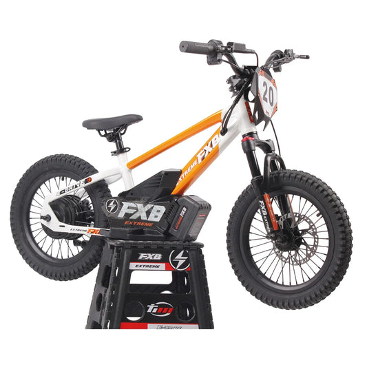 HKM-524499 16-Inch Electric Balance Bike with Brushless Hub Motor and Hydraulic Disc Brakes