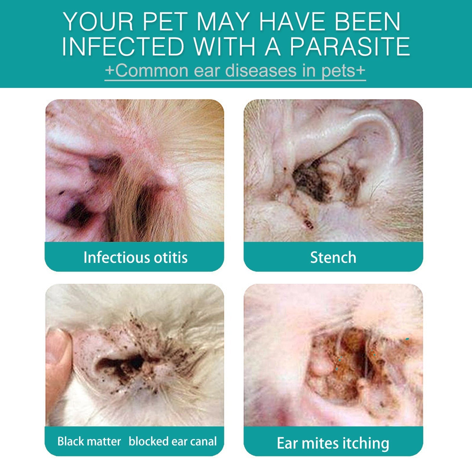 HKM-5251517 Ear Cleaning Finger Stall for Pet Care - 50 Cotton Cloth Tips for Dogs and Cats