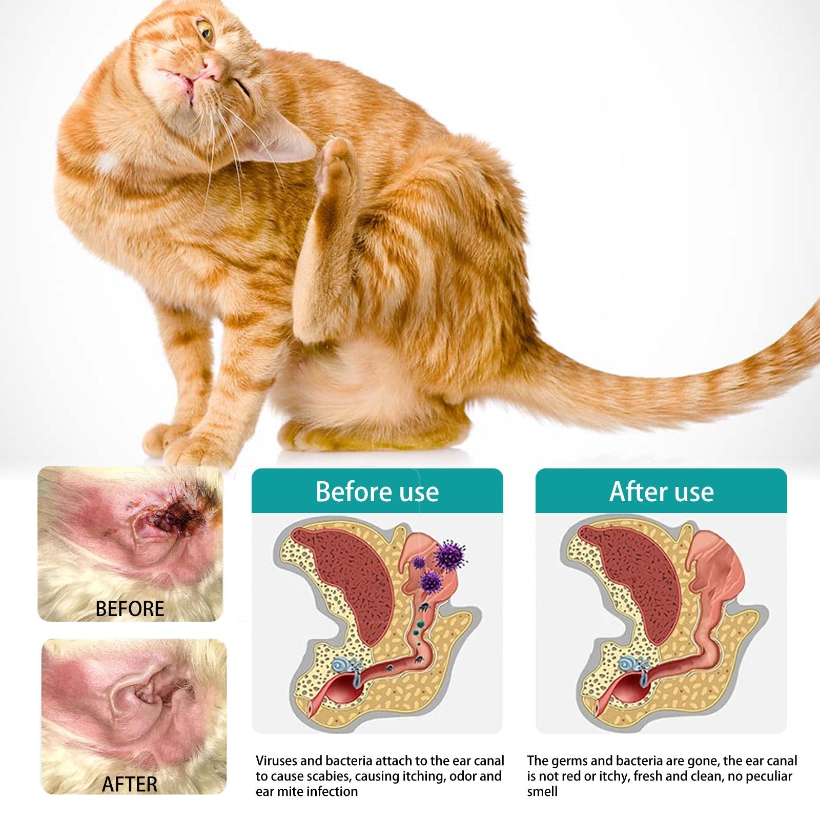 HKM-5251517 Ear Cleaning Finger Stall for Pet Care - 50 Cotton Cloth Tips for Dogs and Cats