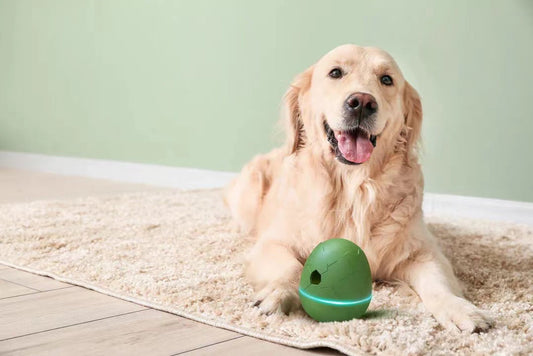 HKM-5254461 Egg Shaped Dancing Toy for Pets - Interactive Snack Dispenser with Whistle, Light and Motion