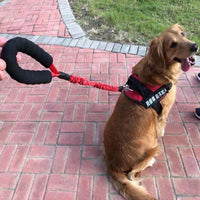 HKM-5259197 Elastic Retractable Dog Leash, Explosion-Proof Nylon, 80-185cm Range, Available in Multiple Colors