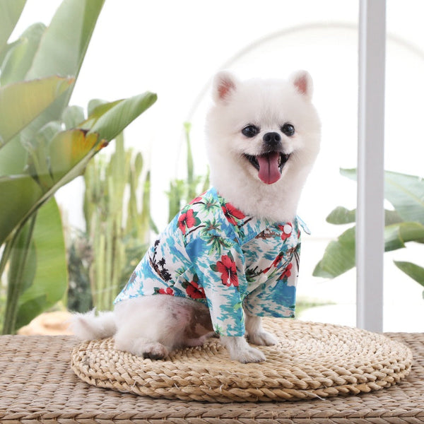 HKM-5259965 Stylish Pet Apparel in Various Colors and Sizes for Small to Large Dogs