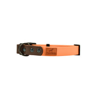 HKM-5264957 Retro Dog Collar and Traction Rope Set - PVC Polymer for Comfortable Walking