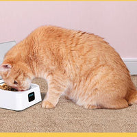 HKM-5265341 Smart Automatic Feeder for Cats and Dogs - Moisture-Proof Design, 350ml Capacity