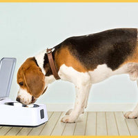 HKM-5265341 Smart Automatic Feeder for Cats and Dogs - Moisture-Proof Design, 350ml Capacity