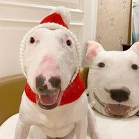HKM-5269949 Cozy Red Woolen Hat for Pets - Sizes S to XL for Autumn and Winter