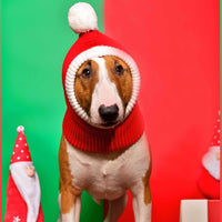 HKM-5269949 Cozy Red Woolen Hat for Pets - Sizes S to XL for Autumn and Winter