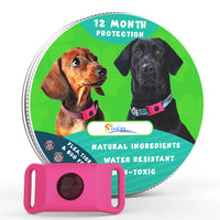 HKM-526995 Flea Tick Tick Tick Collar