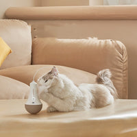 HKM-5271741 Interactive Electric Cat Tumbler Toy with USB Charging and Automatic Shut-Off