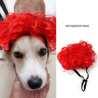 HKM-5272381 Colorful Pet Wig Collection for Cats - Variety of Styles, Suitable for Halloween and Ghost Festivals, Adjustable Fit