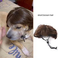 HKM-5272381 Colorful Pet Wig Collection for Cats - Variety of Styles, Suitable for Halloween and Ghost Festivals, Adjustable Fit