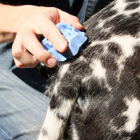 HKM-5278141 Grooming and Shampooing Dog Brush - Blue, for Healthy Coat and Skin Care