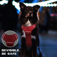 HKM-5278653 Durable Adjustable Tactical Dog Harness with Dual Handles for Large Dogs