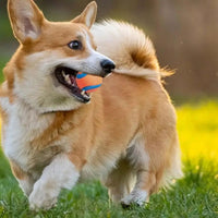 HKM-5279293 Durable Rubber Inflatable Ball for Dogs and Cats - Chew Toy in Orange, 5cm & 6cm Sizes