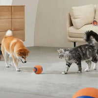 HKM-5279293 Durable Rubber Inflatable Ball for Dogs and Cats - Chew Toy in Orange, 5cm & 6cm Sizes