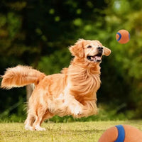 HKM-5279293 Durable Rubber Inflatable Ball for Dogs and Cats - Chew Toy in Orange, 5cm & 6cm Sizes