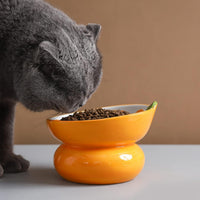 HKM-5289661 Elevated Pink Ceramic Cat Food Bowl with Anti-Vomiting Design and Spinal Support