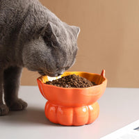HKM-5289661 Elevated Pink Ceramic Cat Food Bowl with Anti-Vomiting Design and Spinal Support