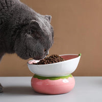 HKM-5289661 Elevated Pink Ceramic Cat Food Bowl with Anti-Vomiting Design and Spinal Support
