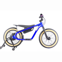 HKM-529107 16 Inch Green Aluminum Frame Electric Balance Bike for Kids with 2 Speed Options