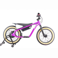 HKM-529107 16 Inch Green Aluminum Frame Electric Balance Bike for Kids with 2 Speed Options